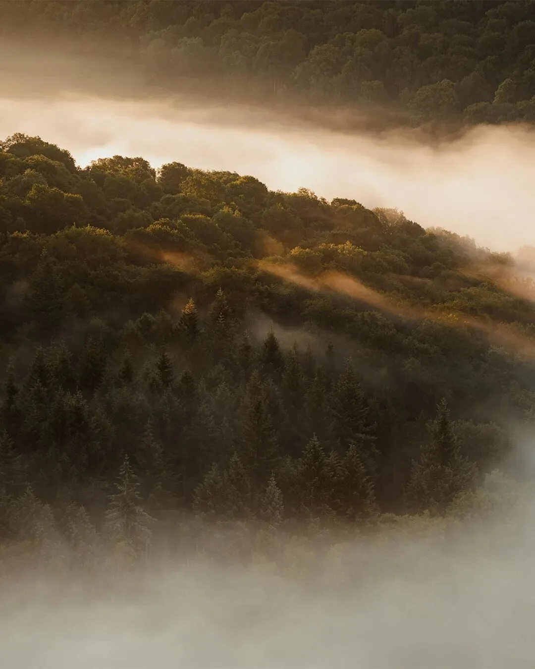 Low-Saturation Photos Are Beautiful Too! Recommending 3 Serene-Toned Landscape Photographers (Aesthetic Expansion) · Fig. 42
