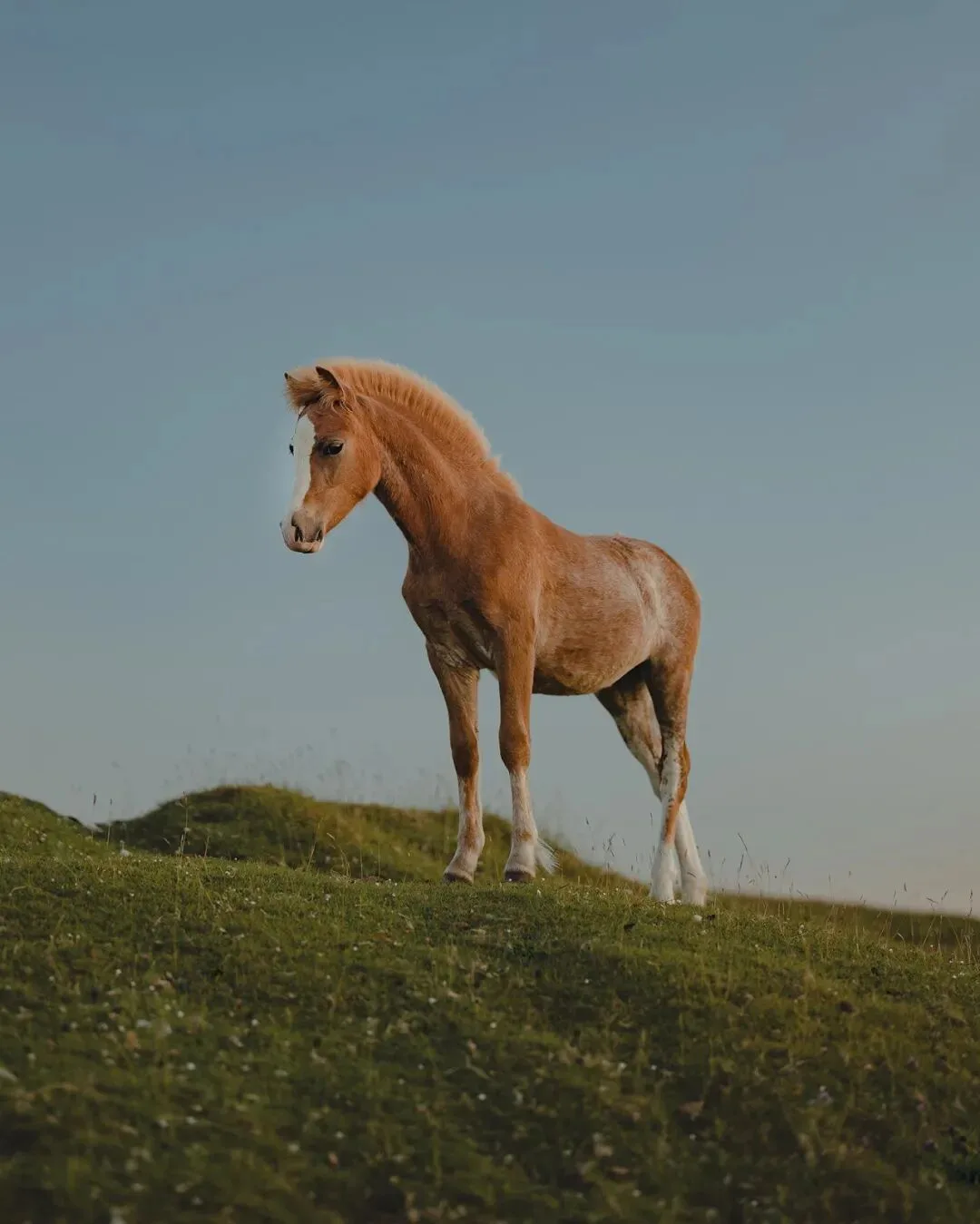 Low-Saturation Photos Are Beautiful Too! Recommending 3 Serene-Toned Landscape Photographers (Aesthetic Expansion) · Fig. 46