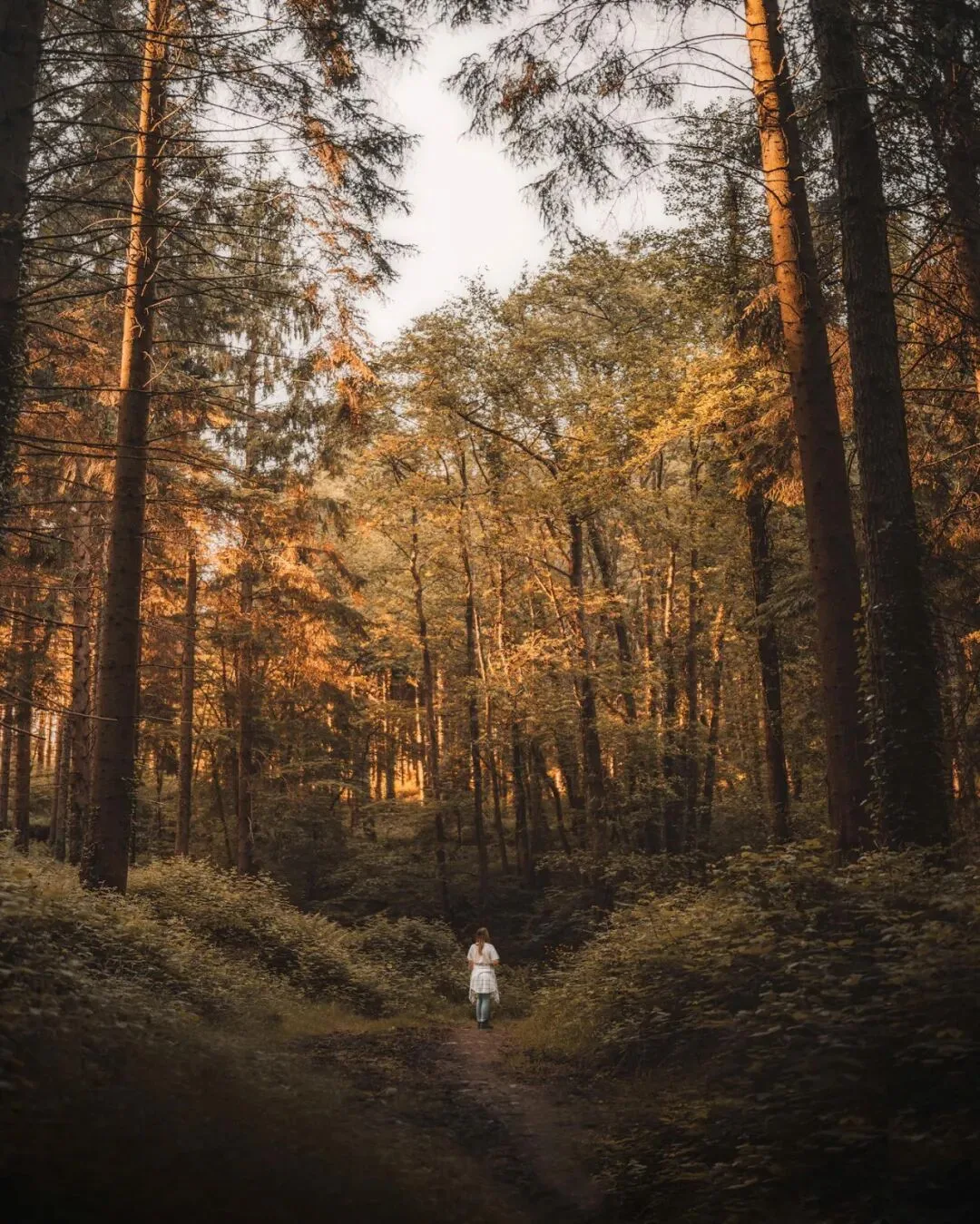 Low-Saturation Photos Are Beautiful Too! Recommending 3 Serene-Toned Landscape Photographers (Aesthetic Expansion) · Fig. 51
