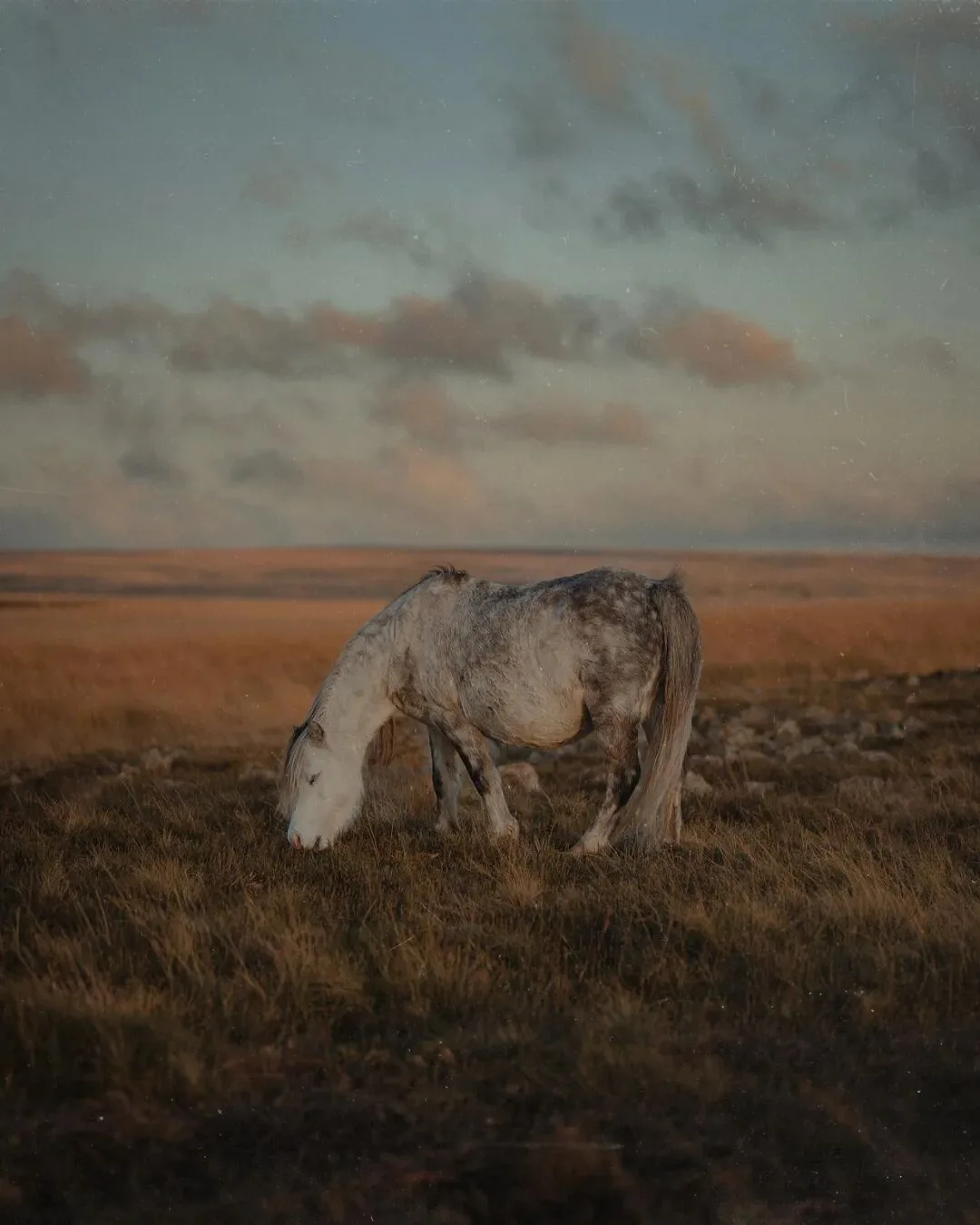 Low-Saturation Photos Are Beautiful Too! Recommending 3 Serene-Toned Landscape Photographers (Aesthetic Expansion) · Fig. 53