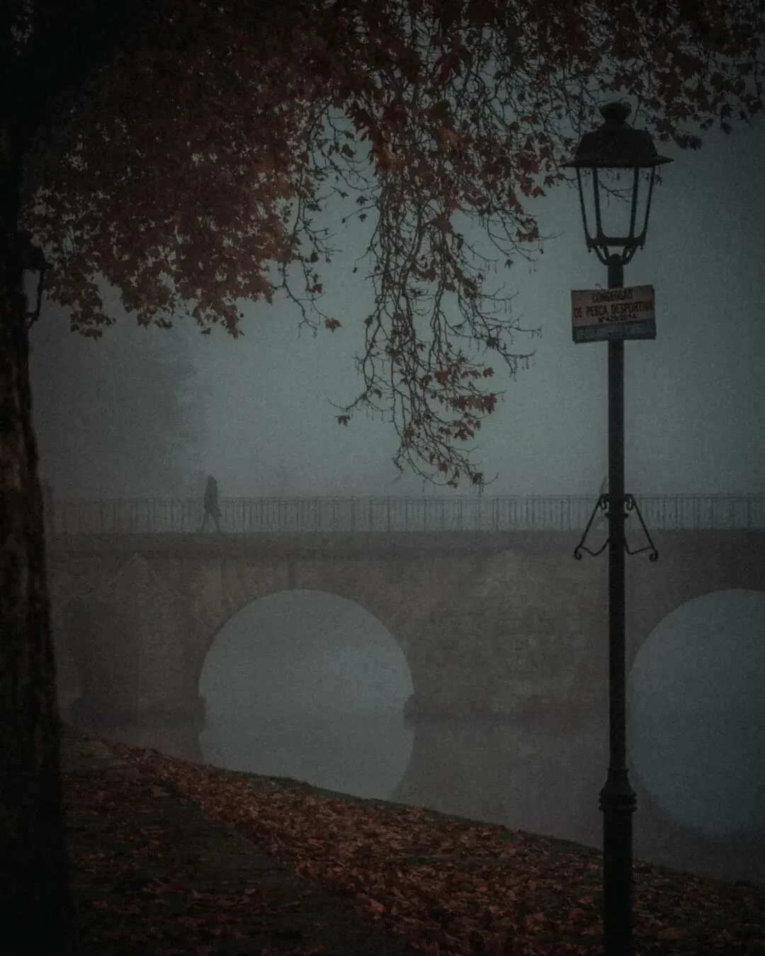 Low-Saturation Photos Are Beautiful Too! Recommending 3 Serene-Toned Landscape Photographers (Aesthetic Expansion) · Fig. 64