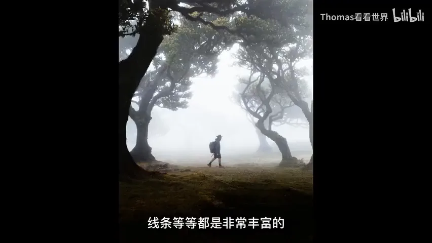 Low-Saturation Photos Are Beautiful Too! Recommending 3 Serene-Toned Landscape Photographers (Aesthetic Expansion) · Fig. 3