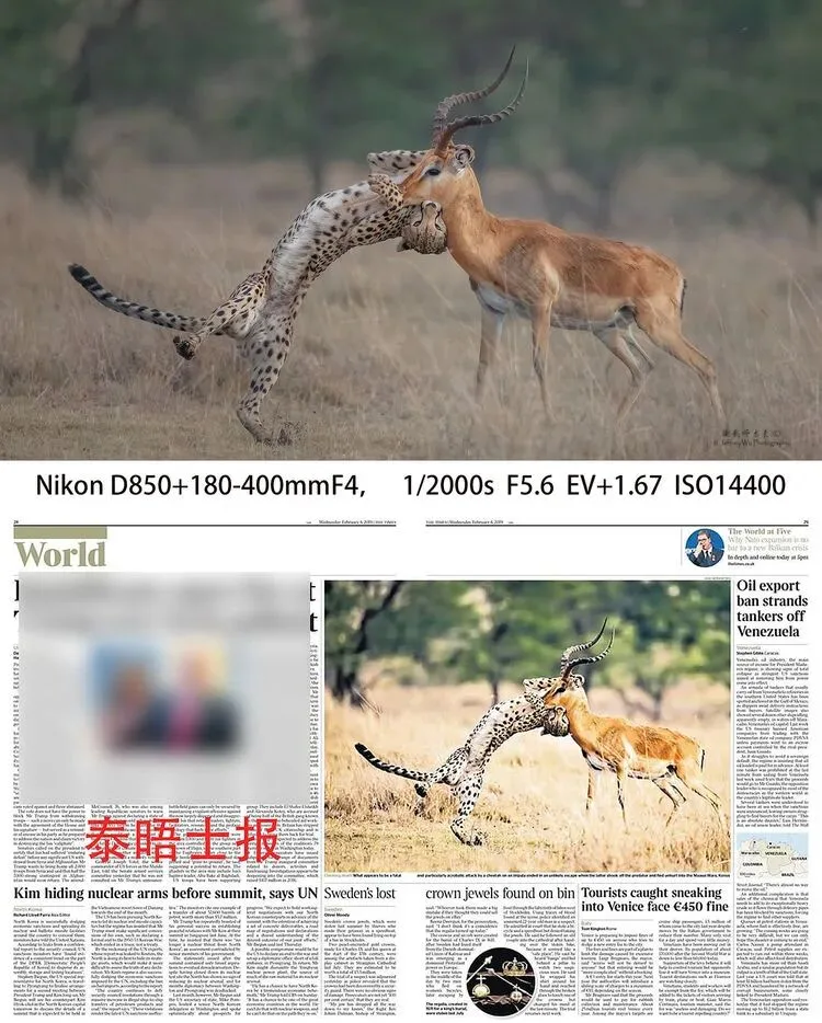 7万高ISO也能出大片？这个降噪技术太厉害了！ · 图3
