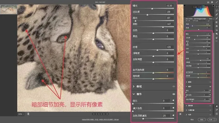 7万高ISO也能出大片？这个降噪技术太厉害了！ · 图20