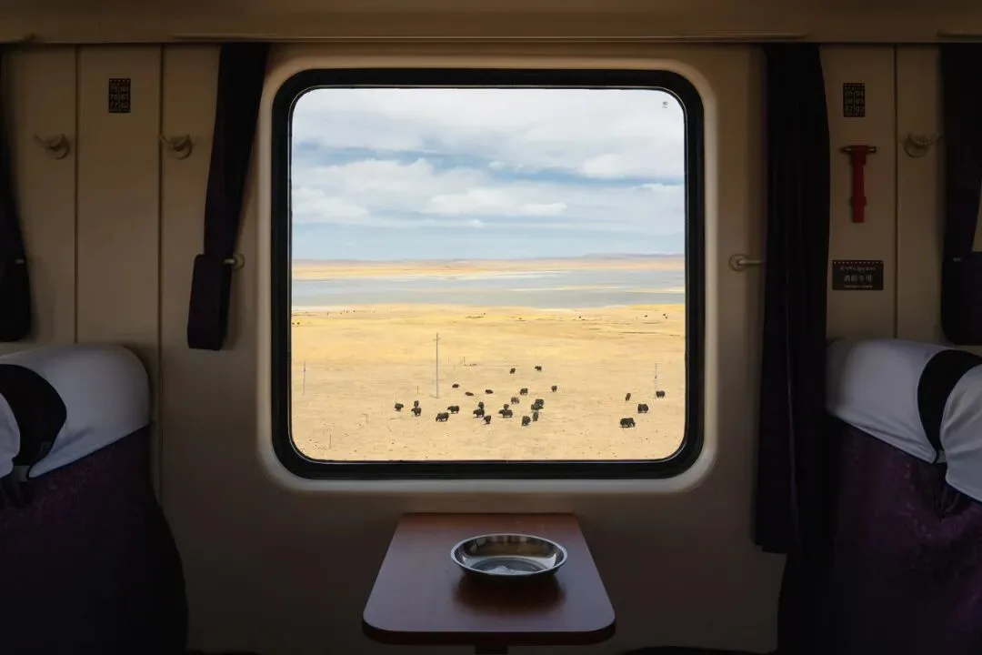 Why Do I Photograph Landscapes from Trains? The Story and Motivation Behind It · Fig. 18