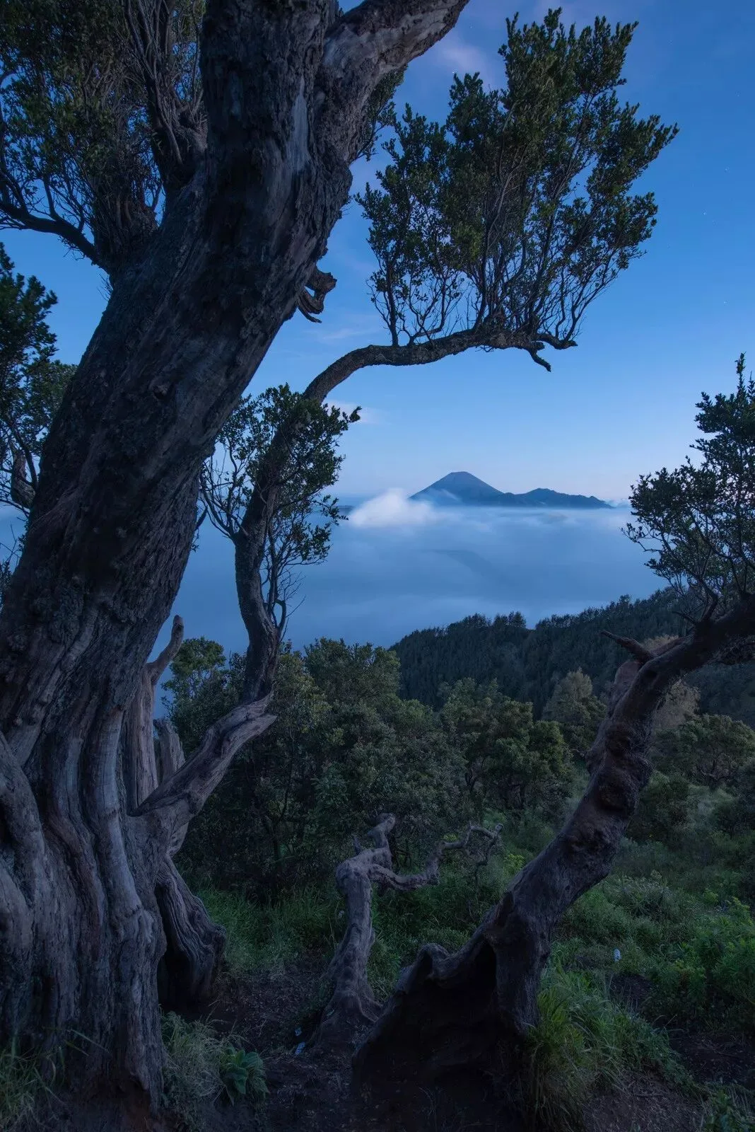 Three Tricks for Unfamiliar-Looking Landscape Shots at Popular Spots · Fig. 15