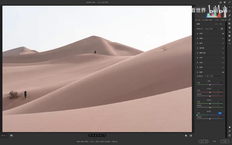 Hundreds of Popular Color Looks from Just Two PS Tools: White Balance + Calibration Primaries · Fig. 9