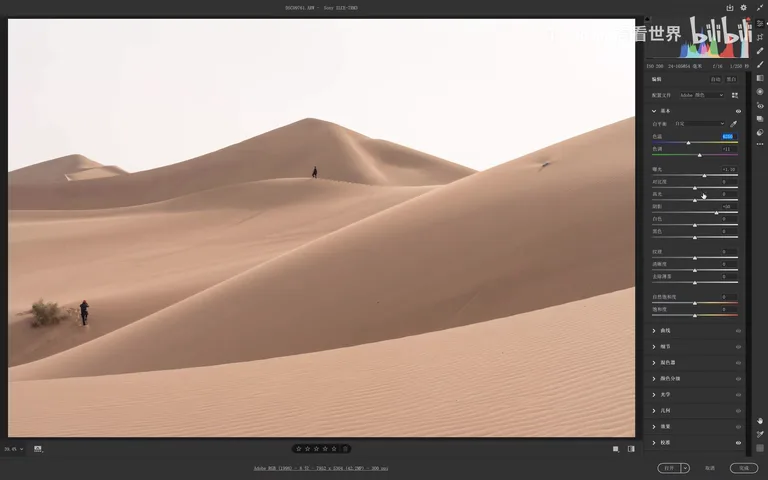 Hundreds of Popular Color Looks from Just Two PS Tools: White Balance + Calibration Primaries · Fig. 10