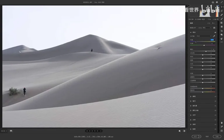 Hundreds of Popular Color Looks from Just Two PS Tools: White Balance + Calibration Primaries · Fig. 11