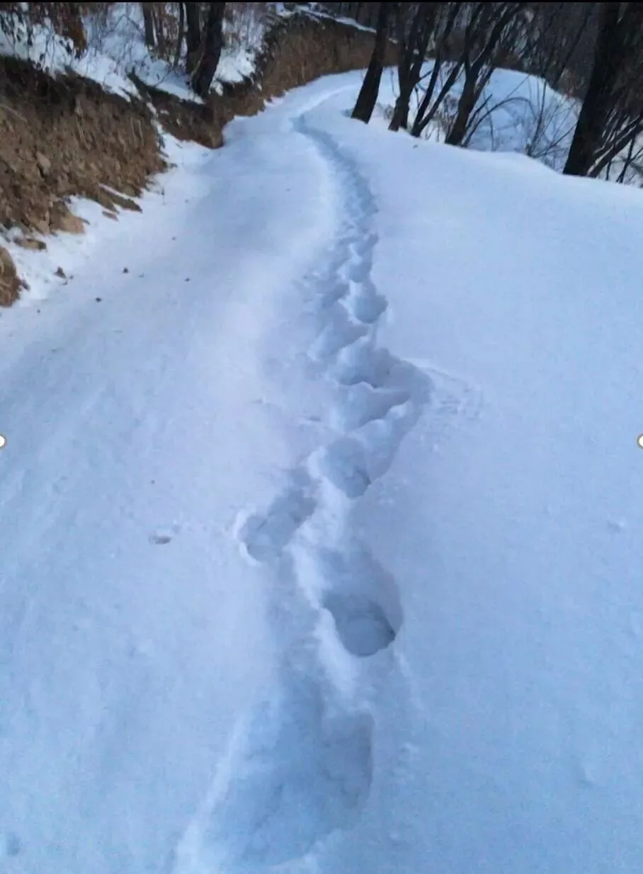 冬季冰雪摄影注意事项！都是花上万块买来的教训。 · 图39