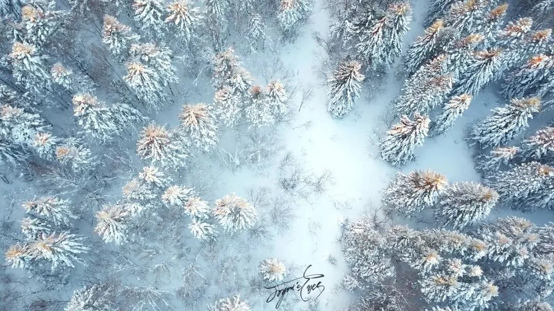冬季冰雪摄影注意事项！都是花上万块买来的教训。 · 图48