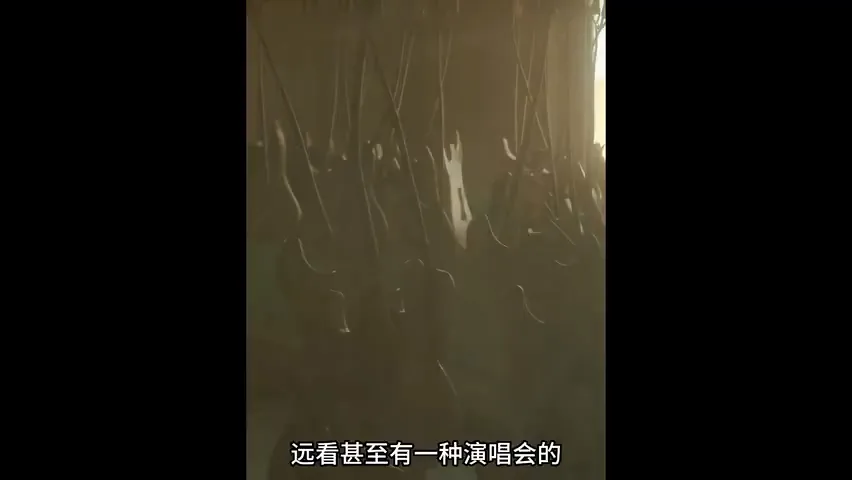 这些照片为什么能获奖？2024小米徕卡影像大赛详细解读！ · 图10