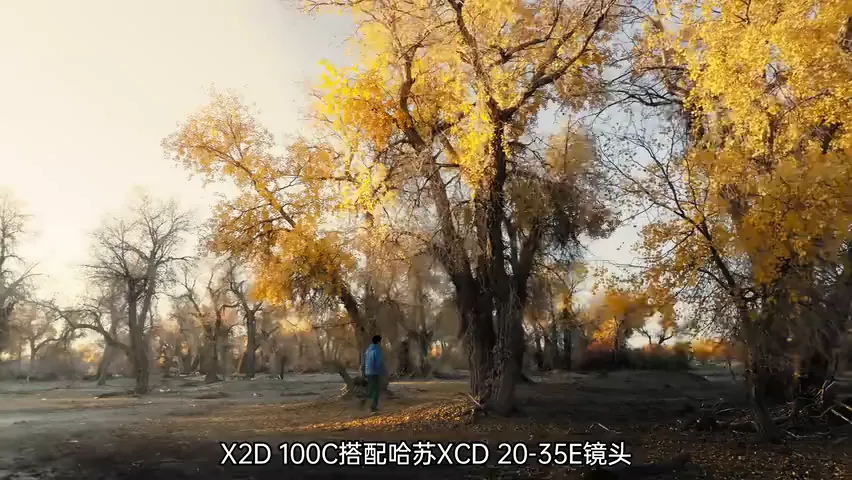 在新疆拍到了绝美胡杨林！哈苏20-35E新镜头实战~ · 图3
