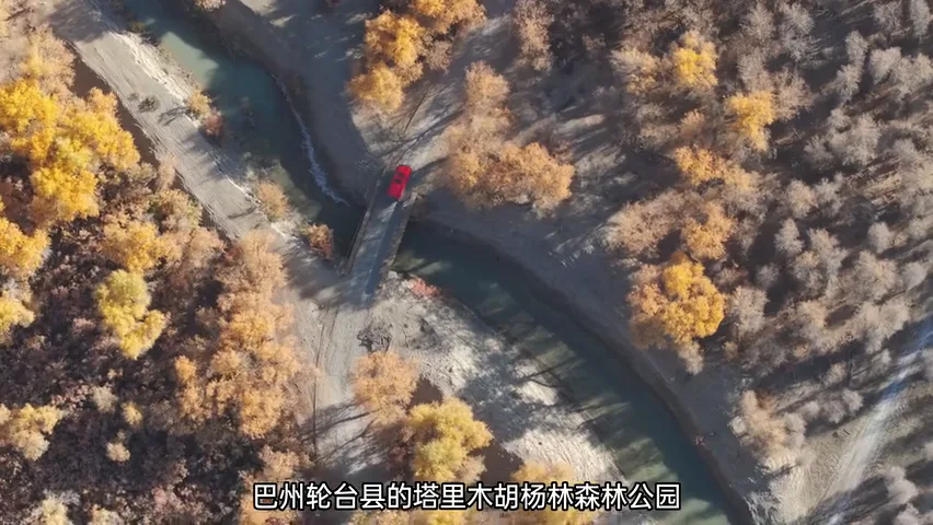 在新疆拍到了绝美胡杨林！哈苏20-35E新镜头实战~ · 图11