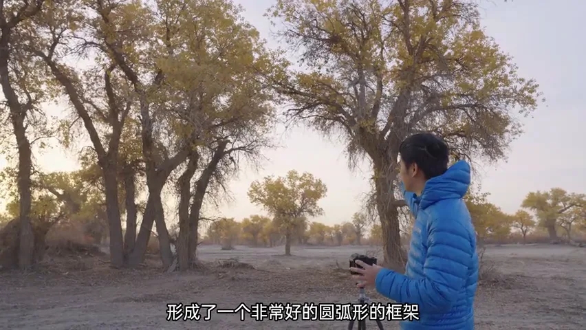 在新疆拍到了绝美胡杨林！哈苏20-35E新镜头实战~ · 图16