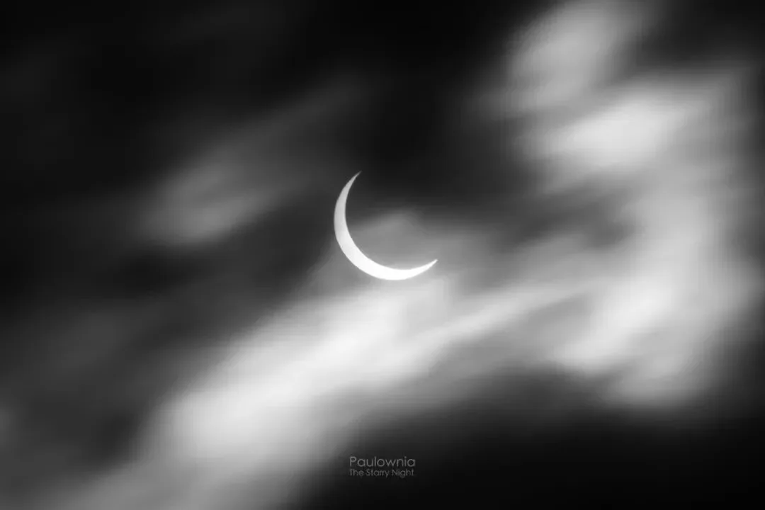 So Powerful! This Post-95 Photographer Won the 'Oscar' of Astrophotography! · Fig. 20