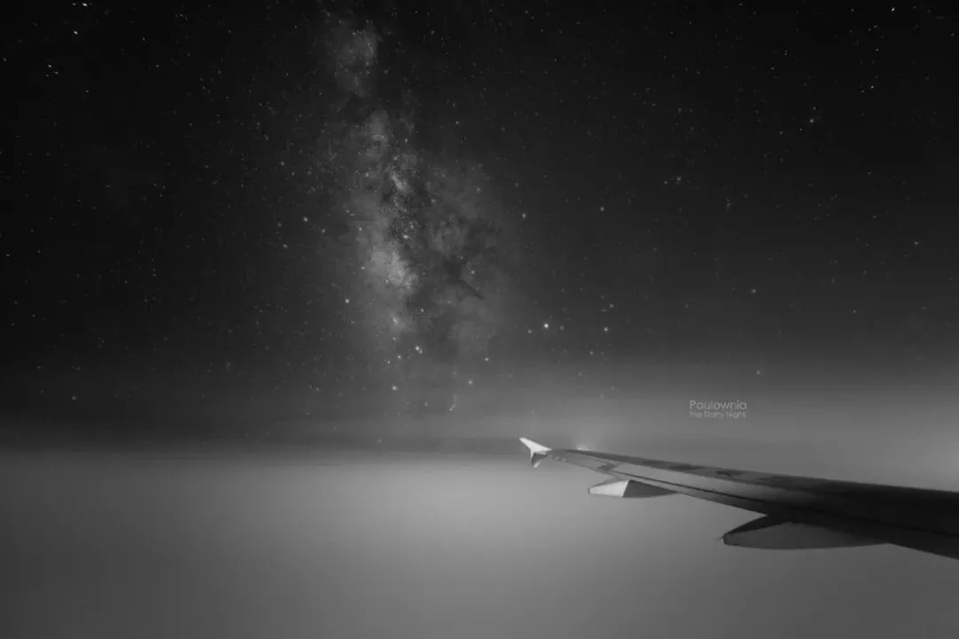 So Powerful! This Post-95 Photographer Won the 'Oscar' of Astrophotography! · Fig. 36